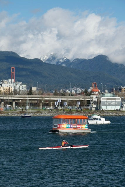 Urban Fantasy Meets Vancouver’s Landmarks