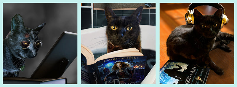 Abra the cat enjoys urban fantasy by Deborah Wilde on her ereader, in paperback and on audiobook.